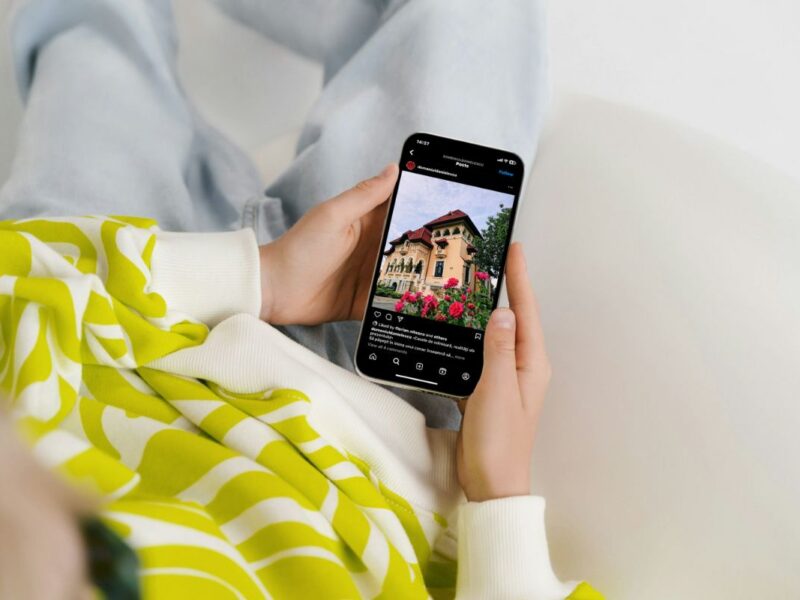 casa-danielescu-1 casa-danielescu-1