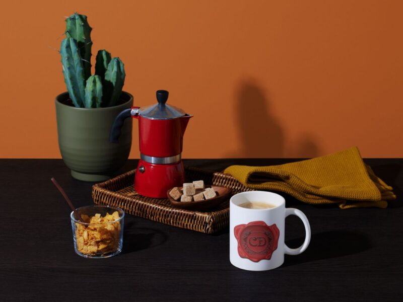 casa-danielescu-3 casa-danielescu-3