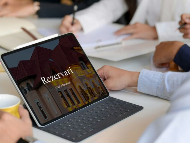 casa-danielescu-6 casa-danielescu-6