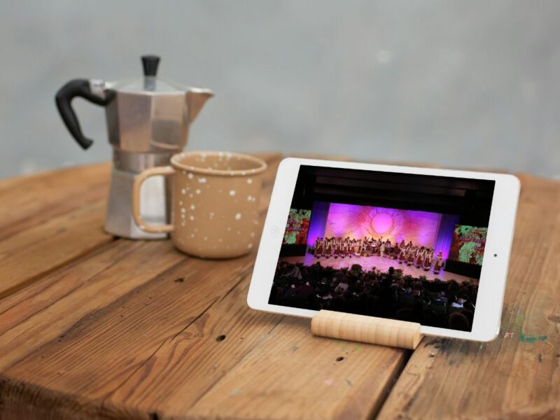 doina-gorjului-4 doina-gorjului-4